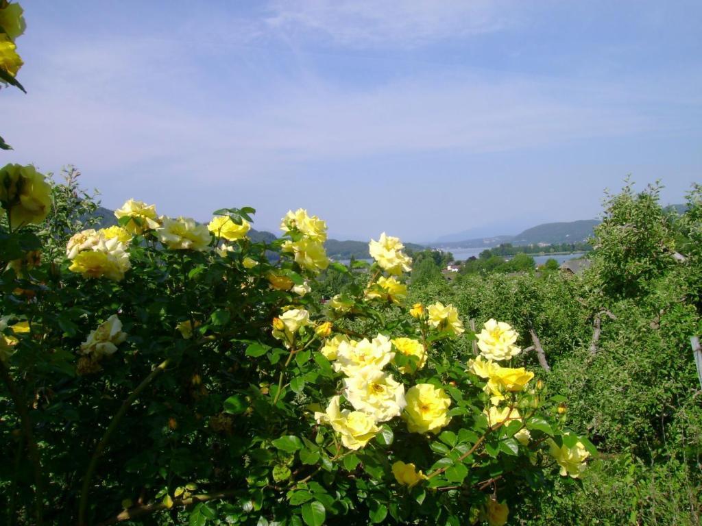 St. Oswalderhof Bed & Breakfast Portschach am Woerthersee Ngoại thất bức ảnh